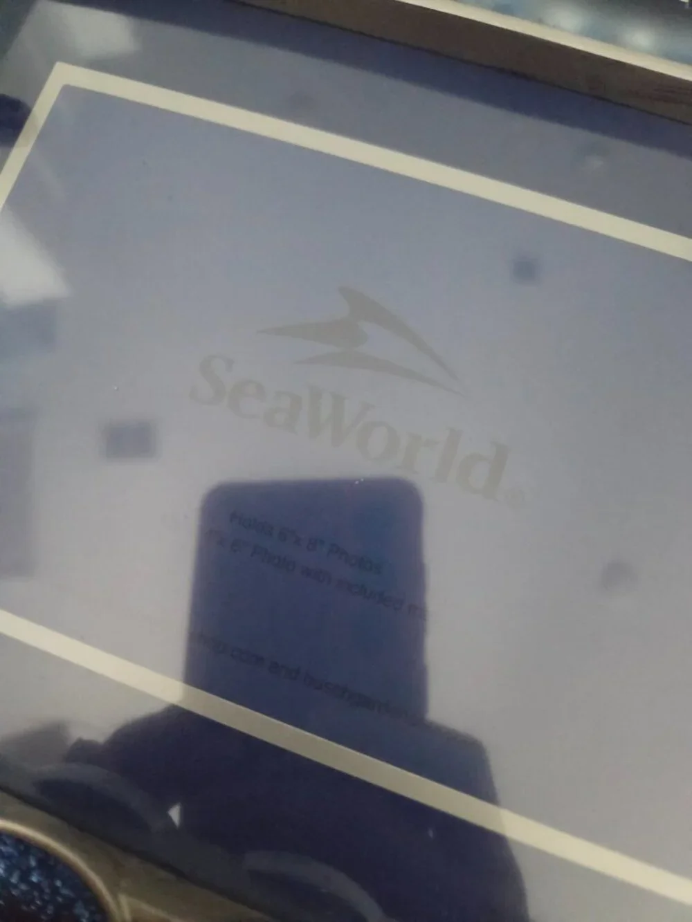 SeaWorld 2022 Photo Frame Marine Life 6